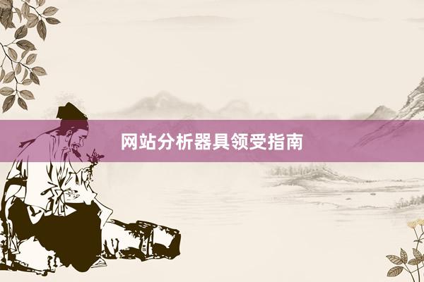 网站分析器具领受指南