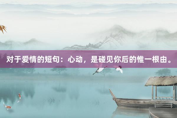 对于爱情的短句：心动，是碰见你后的惟一根由。