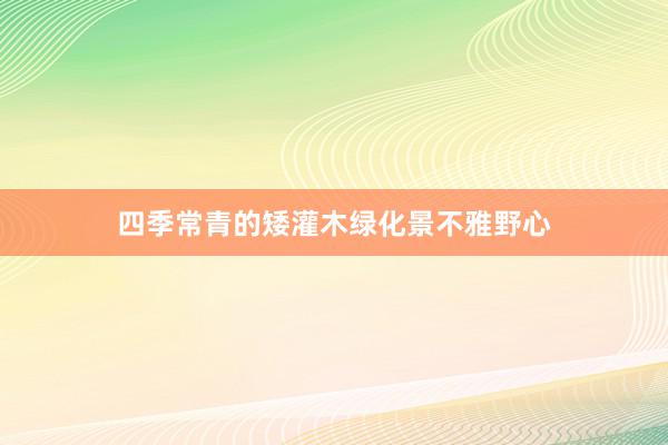 四季常青的矮灌木绿化景不雅野心