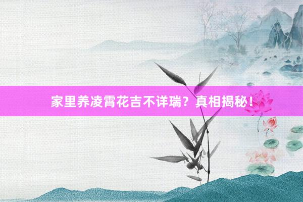 家里养凌霄花吉不详瑞？真相揭秘！