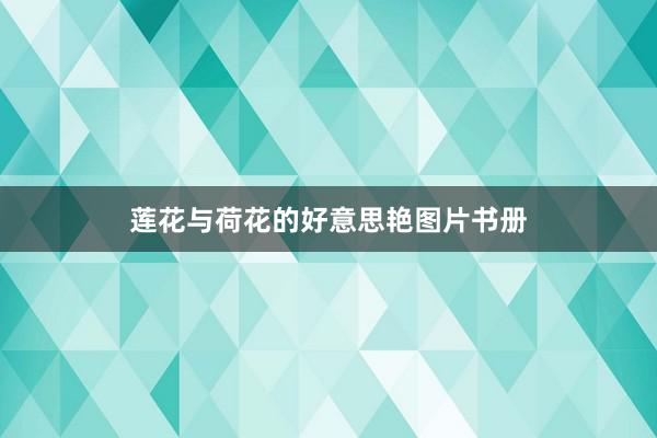 莲花与荷花的好意思艳图片书册